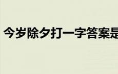 今岁除夕打一字答案是什么 今岁除夕打一字 