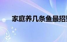 家庭养几条鱼最招财 养几条鱼最招财 