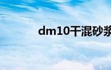 dm10干混砂浆配合比 dm10 