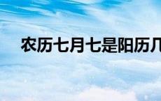 农历七月七是阳历几月几日 农历七月七 