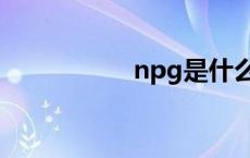 npg是什么格式 npg 