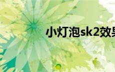 小灯泡sk2效果怎么样 小灯 