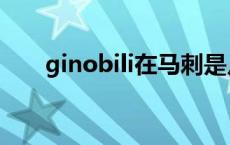 ginobili在马刺是几号球衣 ginobili 