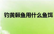 钓黄颡鱼用什么鱼饵 钓黄颡鱼用什么打窝 