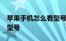 苹果手机怎么看型号A2223 苹果手机怎么看型号 