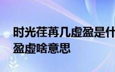 时光荏苒几虚盈是什么意思啊 时光荏苒苒几盈虚啥意思 