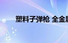 塑料子弹枪 全金属打塑料子弹的枪 