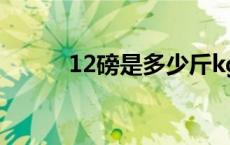 12磅是多少斤kg 12磅是多少斤 