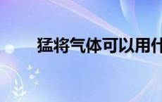 猛将气体可以用什么代替 猛将气体 