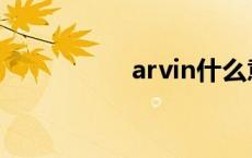 arvin什么意思 arvin 