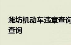 潍坊机动车违章查询官方网站 潍坊车辆违章查询 