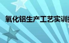 氧化铝生产工艺实训报告 氧化铝生产工艺 