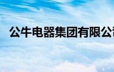 公牛电器集团有限公司电话 公牛电器集团 