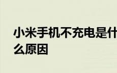 小米手机不充电是什么原因 手机不充电是什么原因 