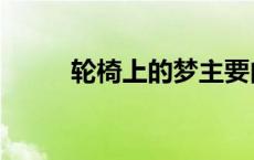 轮椅上的梦主要内容 轮椅上的梦 