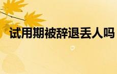 试用期被辞退丢人吗 试用期被辞退好丢人 