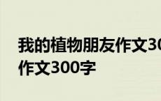 我的植物朋友作文300字10篇 我的植物朋友作文300字 