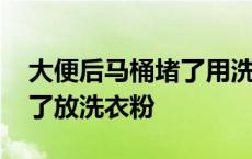 大便后马桶堵了用洗衣粉可以吗 蹲坑厕所堵了放洗衣粉 