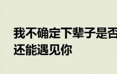 我不确定下辈子是否还能遇见你 下辈子是否还能遇见你 