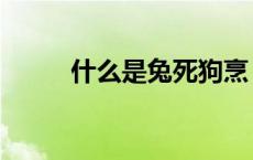 什么是兔死狗烹 什么叫兔死狗烹 