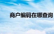 商户编码在哪查询 商户编号查询系统 