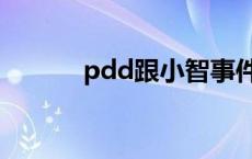 pdd跟小智事件 pdd小智事件 