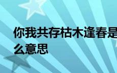 你我共存枯木逢春是什么意思 枯木逢春是什么意思 