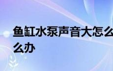 鱼缸水泵声音大怎么办呢 鱼缸水泵声音大怎么办 