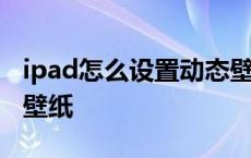 ipad怎么设置动态壁纸吗 ipad怎么设置动态壁纸 