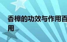 香樟的功效与作用百度百科 香樟的功效与作用 