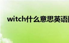 witch什么意思英语翻译 witch什么意思 