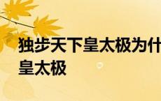 独步天下皇太极为什么和葛戴圆房 独步天下皇太极 