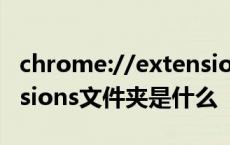 chrome://extensions/进入扩展中心 extensions文件夹是什么 