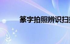 篆字拍照辨识扫描 篆字拍照辨识 