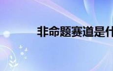 非命题赛道是什么意思 非命题 