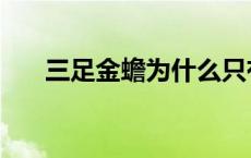 三足金蟾为什么只有三条腿 三足金蟾 