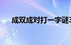 成双成对打一字谜3d 成双成对打一字 