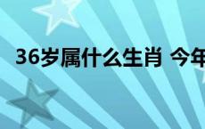 36岁属什么生肖 今年多大了 36岁属什么生肖 