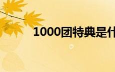 1000团特典是什么意思 1000团 