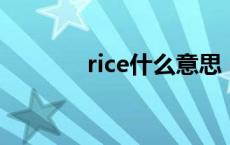 rice什么意思 nine什么意思 