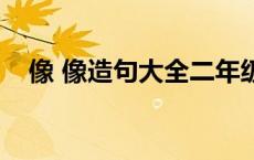 像 像造句大全二年级 像造句大全二年级 