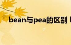 bean与pea的区别 bean和pean的区别 