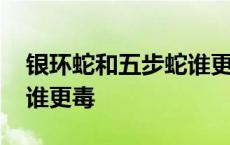 银环蛇和五步蛇谁更毒视频 银环蛇和五步蛇谁更毒 