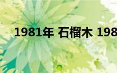 1981年 石榴木 1981年石榴木命缺什么 