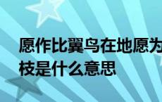 愿作比翼鸟在地愿为连理枝是什么意思 连理枝是什么意思 