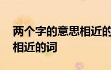 两个字的意思相近的词有哪些 两个字的意思相近的词 