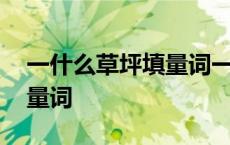 一什么草坪填量词一个一年级 一什么草坪填量词 