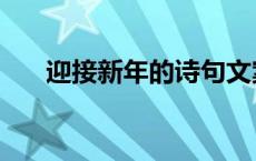 迎接新年的诗句文案 迎接新年的诗句 