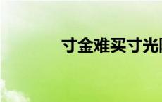 寸金难买寸光阴上一句 寸金 