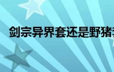 剑宗异界套还是野猪套金骨魂 剑宗异界套 